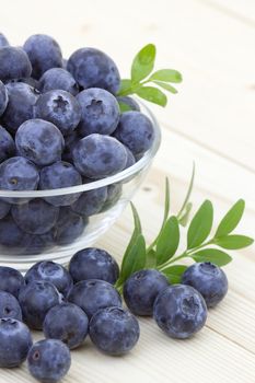 fresh blueberries in a bowl