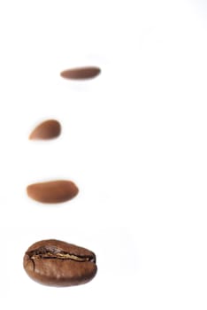 Row of arabica coffee beans on white background.