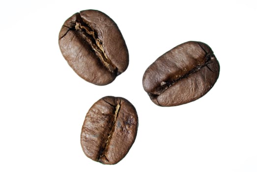 Three arabica coffee beans on white background.