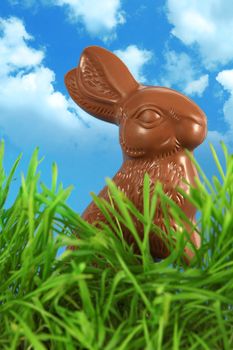 Photo of a chocolate Easter bunny outside in the tall grass.