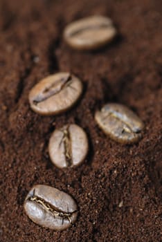 Five coffee beans. Focus on bottom left bean.