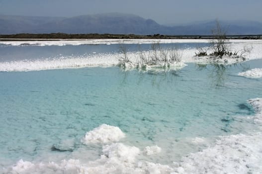 white salt deposits in the Dead Sea in Israel