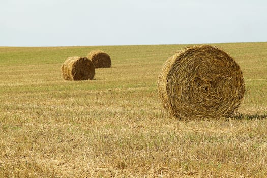 A group of haystacks on a field on sunny day