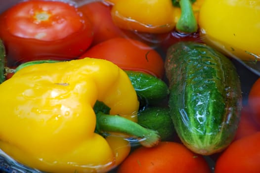 vegetables, cucumber and bell pepper in water
