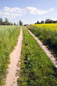 Natural rural gravel road rapeseed fields and blue cloudy sky nature background.