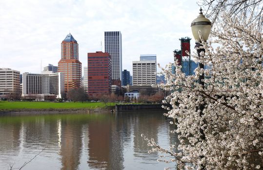 Springtime in Portland Oregon, Pacifc Northwest.