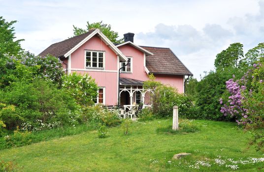 Pink wooden house in a large garden with lilacs.