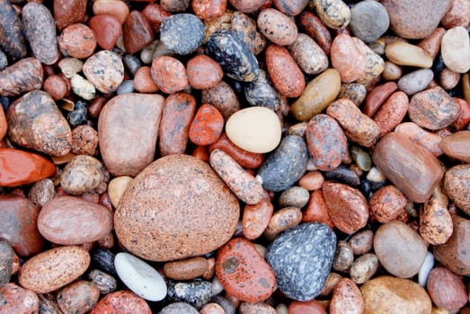 Closeup of many little stones on the coast of baltic sea