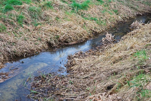 small stream in fall