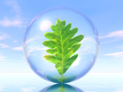 leaf in a bubble
