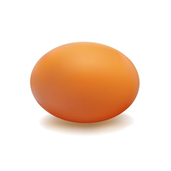 Brown egg with a light shadow on white background