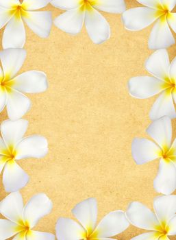 Frangipani flower frame on old grunge paper 