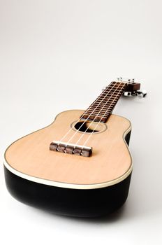 Ukulele, Musical instruments