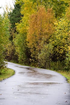 lane covered with yellow foliage in city park in the autumn afternoon