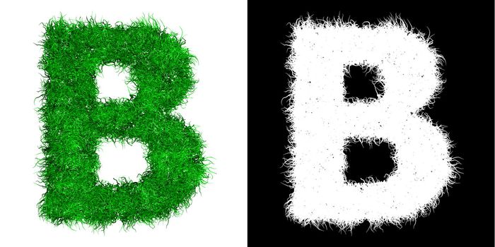 capital letter B made of green grass - alpha mask is included