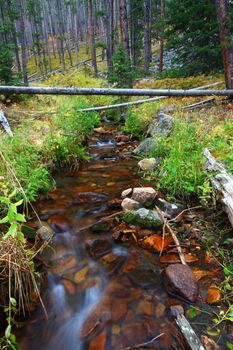 Small creek flowing through the Lewis and Clark National Forest of Montana.