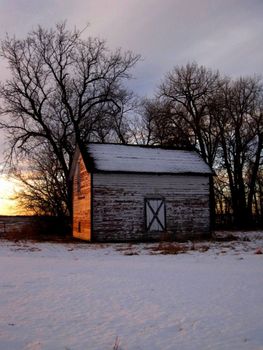 Chicken coop, or old barn, under snow cover and surrounded by leafless trees.