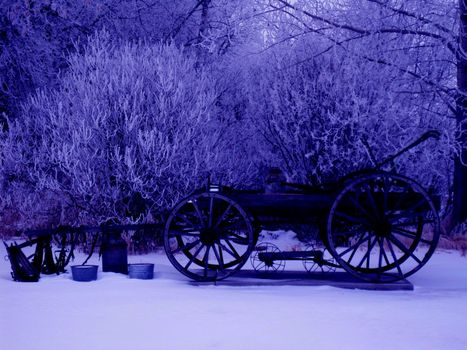 Old fashioned pull wagon next to hoar frost covered trees.