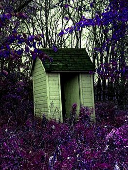 Outhouse surrounded by purple flora.