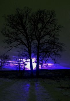 Two leafless trees in the middle of a snow cover field under a purple sunset.