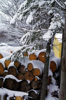 a snow covered pile of fire wood