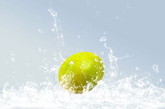 lime  splashing water on  grey background