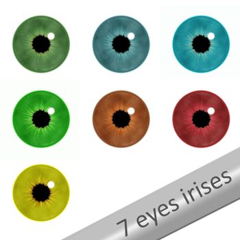 7 realistic eyes irises on white