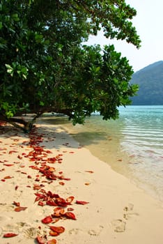 Surin island national park in Thailand