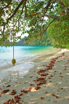 Surin island national park in Thailand