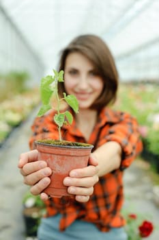 An image of a girl with a plant in a pot