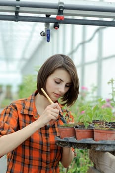 An image of a girl working in a greenhouse