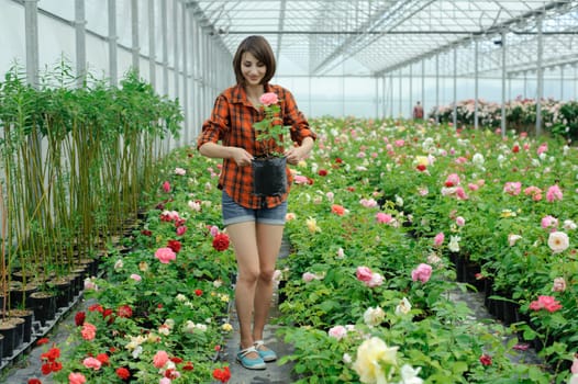 An image of a woman working in a greenhouse