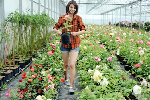 An image of a woman working in a greenhouse