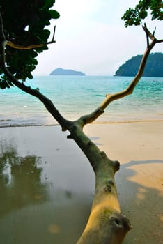 Surin island national park in Thailand