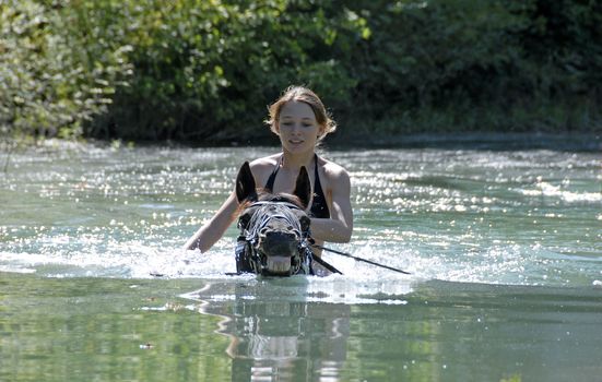 swimming black stallion and young teen in a river