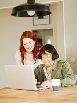 Young woman with her Grandmother by the computer