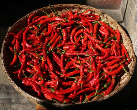 A basket full of spicy chilli peppers in China.