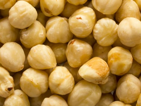 close up of hazelnuts food background