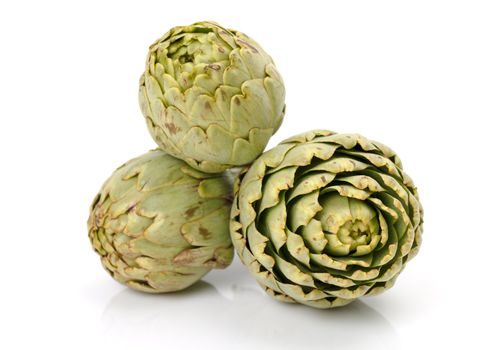 Fresh artichoke on a white background