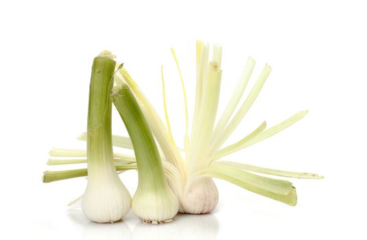 closeup of a pile of garlic shoots on white background