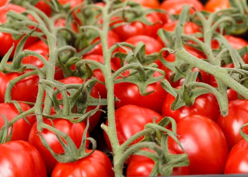 Closeup of cherry tomatoes