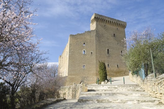 ruined castle of Chateauneuf du Pape, France