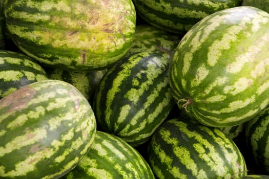 Ripe big water-melons with a green striped skin on a counter of a market