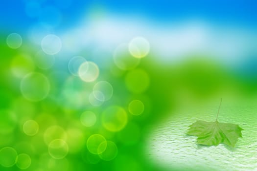 single green leaf in water on a tender blurred background