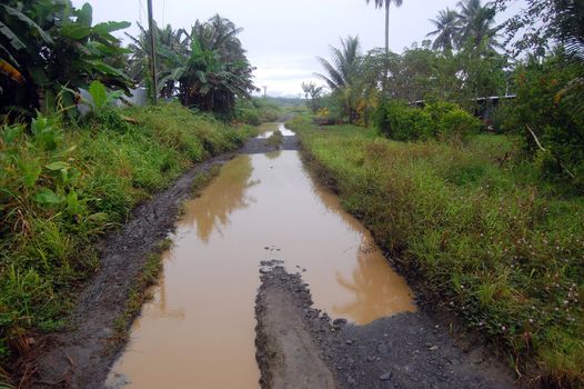Flooded road in the village, papua New Guinea