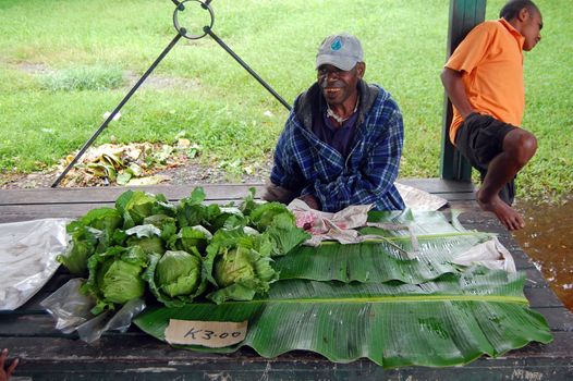 Man saling cabbage on market at the village in Papua New Guinea