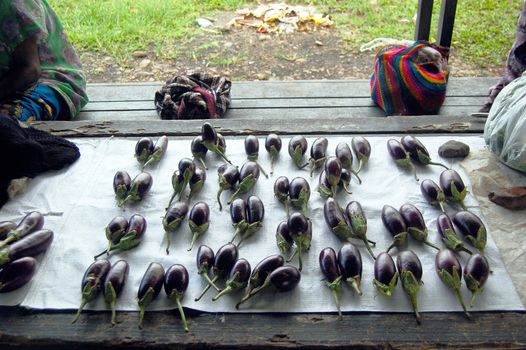 Marrows on table at the market, village in Papua New Guinea