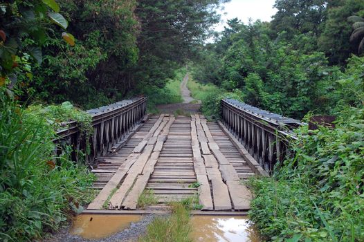 Timber bridge over the river in Papua New Guinea