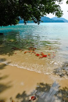 Surin island national park in Thailand