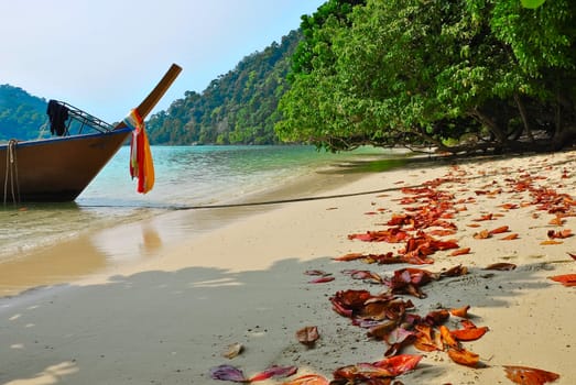 Surin island national park in Thailand